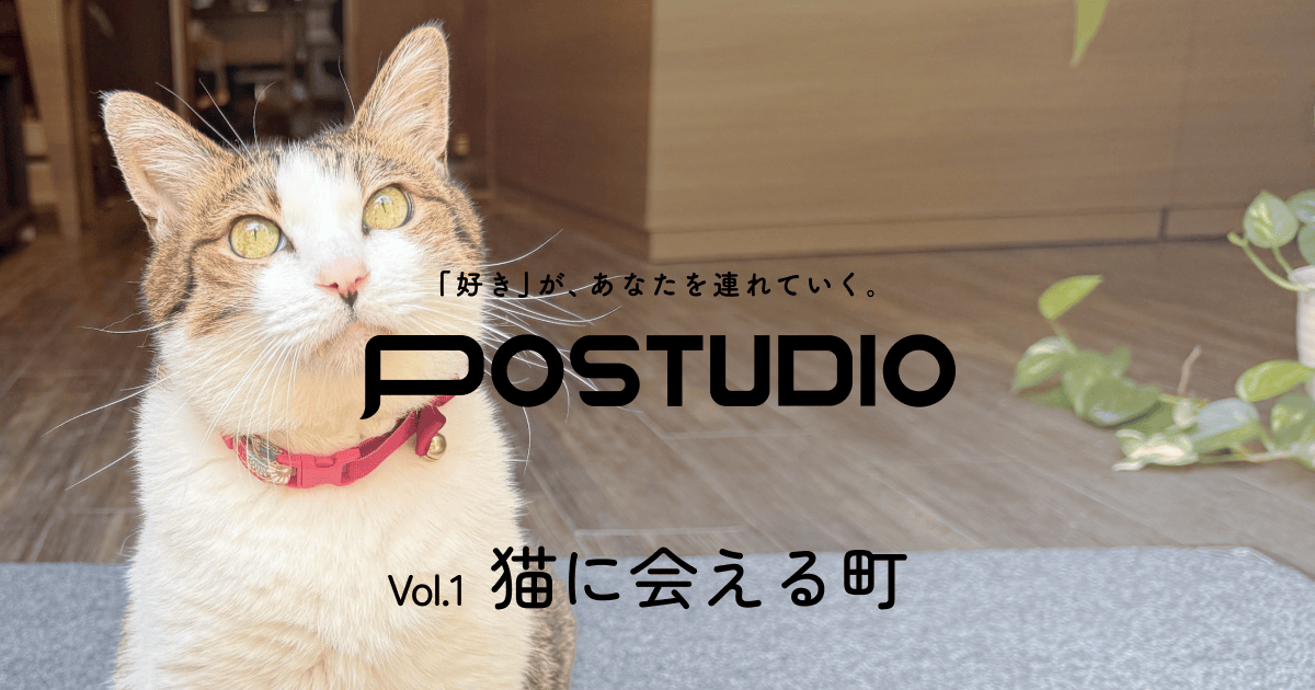 長崎 | 猫に会える町 | POSTUDIO